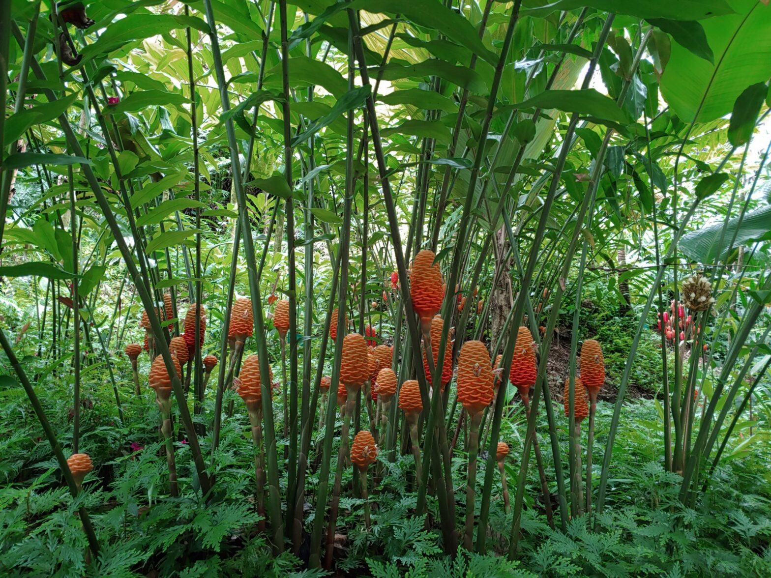 Why I Ignore All Studies