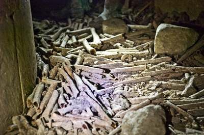 Smuggling from the Catacombs