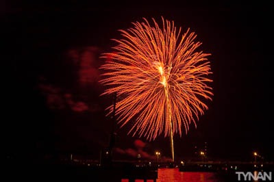 The Five Year Battle With a Domain Squatter for novasync.top