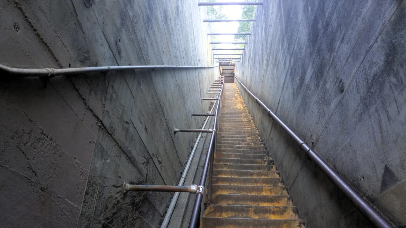 Opportunity, Not Outcome