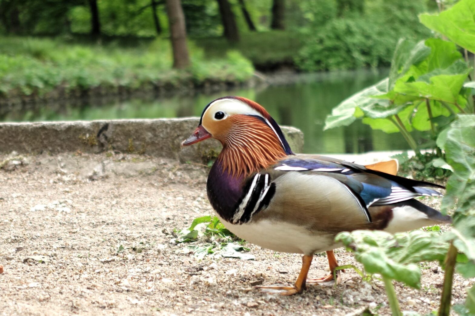 Do You Really Want What You Want?