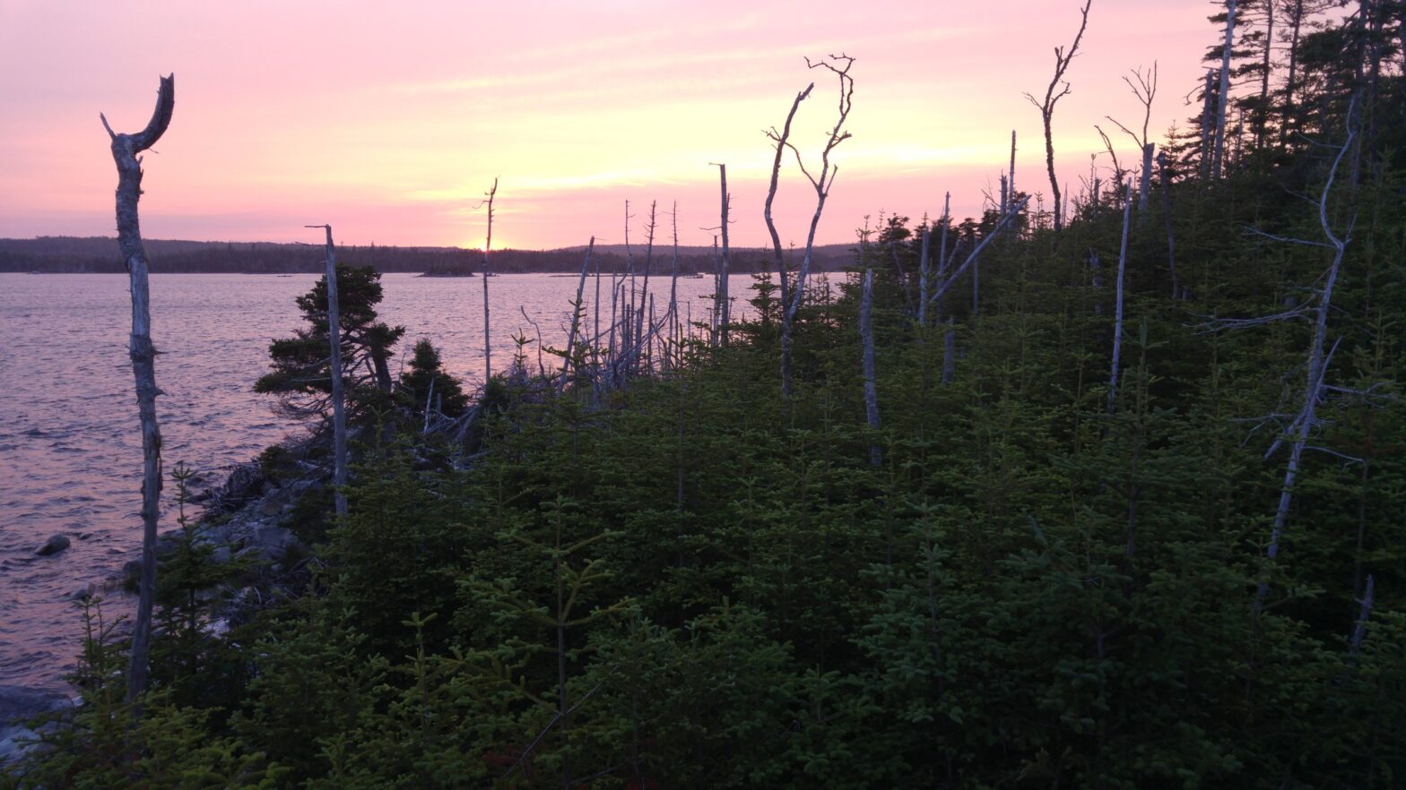 Build Things With Your Friends